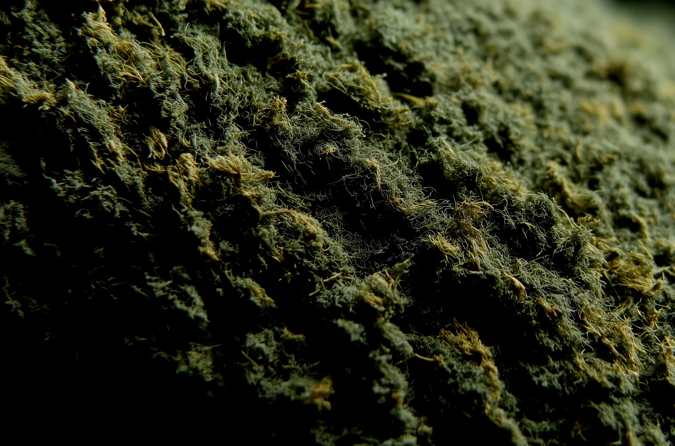 Hintergrund